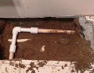 镇江测漏水哪家好